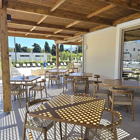 Apartahotel Aegean 4*